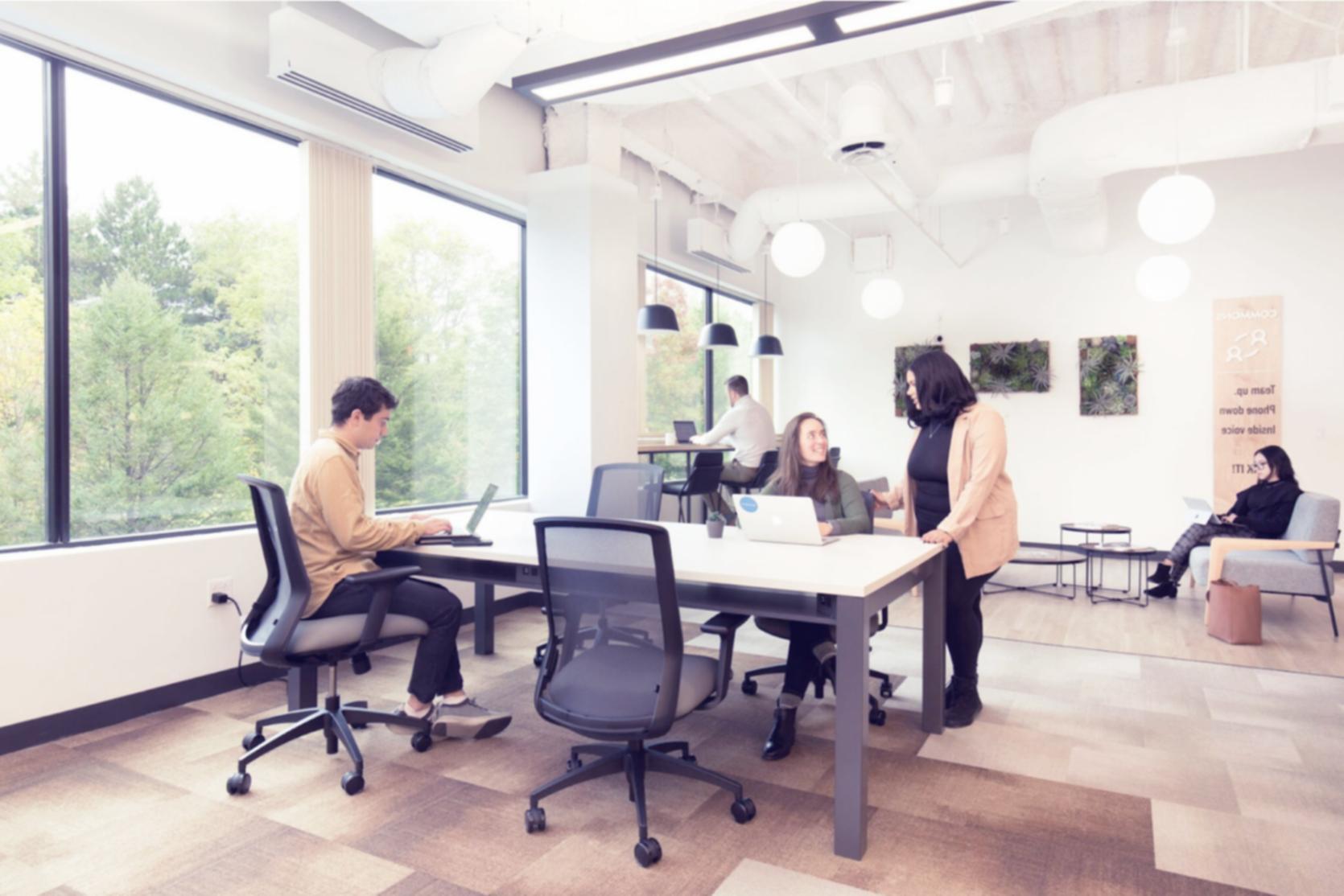 Backlink-Profil Analyse und Qualitätsbewertung